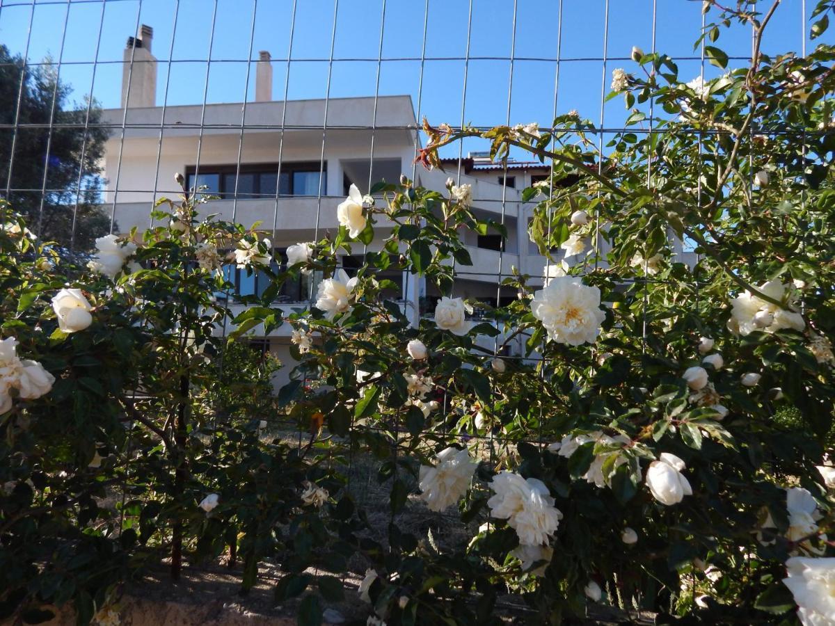 Апартаменти Οδυσσεια, Κοντά Σε Αεροδρόμιο, Λιμάνια Και Θάλασσες Keratea Екстер'єр фото
