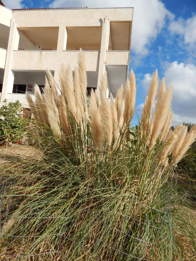 Апартаменти Οδυσσεια, Κοντά Σε Αεροδρόμιο, Λιμάνια Και Θάλασσες Keratea Екстер'єр фото