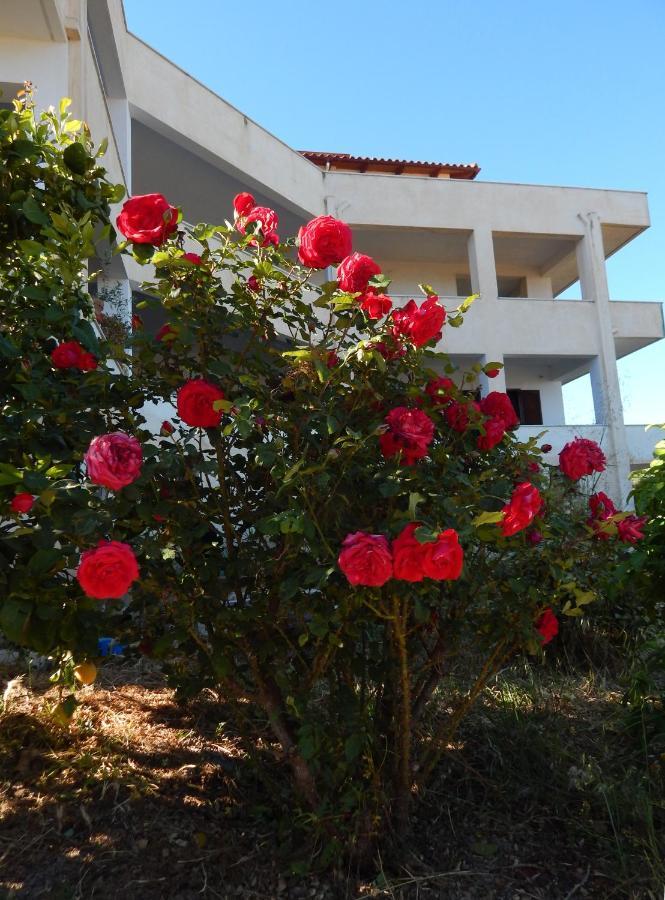 Апартаменти Οδυσσεια, Κοντά Σε Αεροδρόμιο, Λιμάνια Και Θάλασσες Keratea Екстер'єр фото