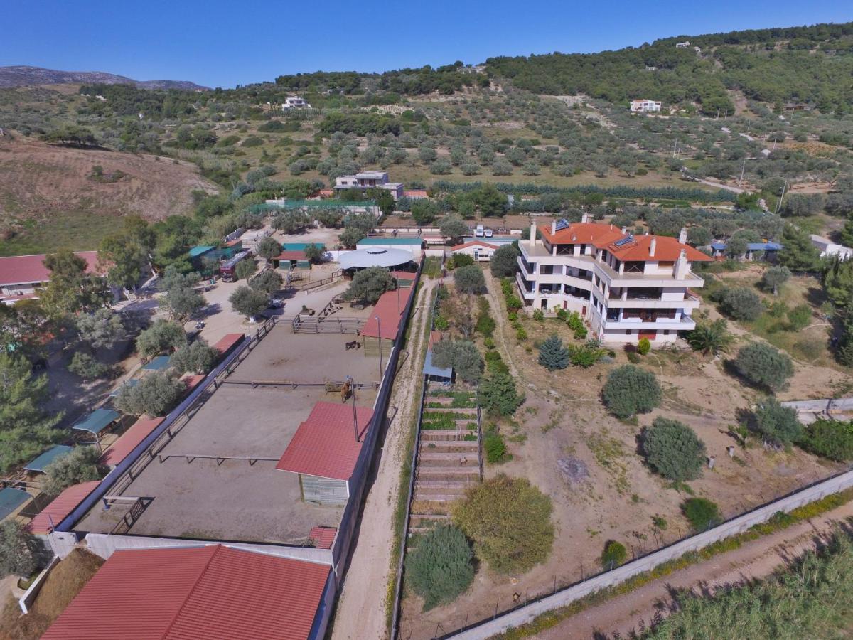 Апартаменти Οδυσσεια, Κοντά Σε Αεροδρόμιο, Λιμάνια Και Θάλασσες Keratea Екстер'єр фото