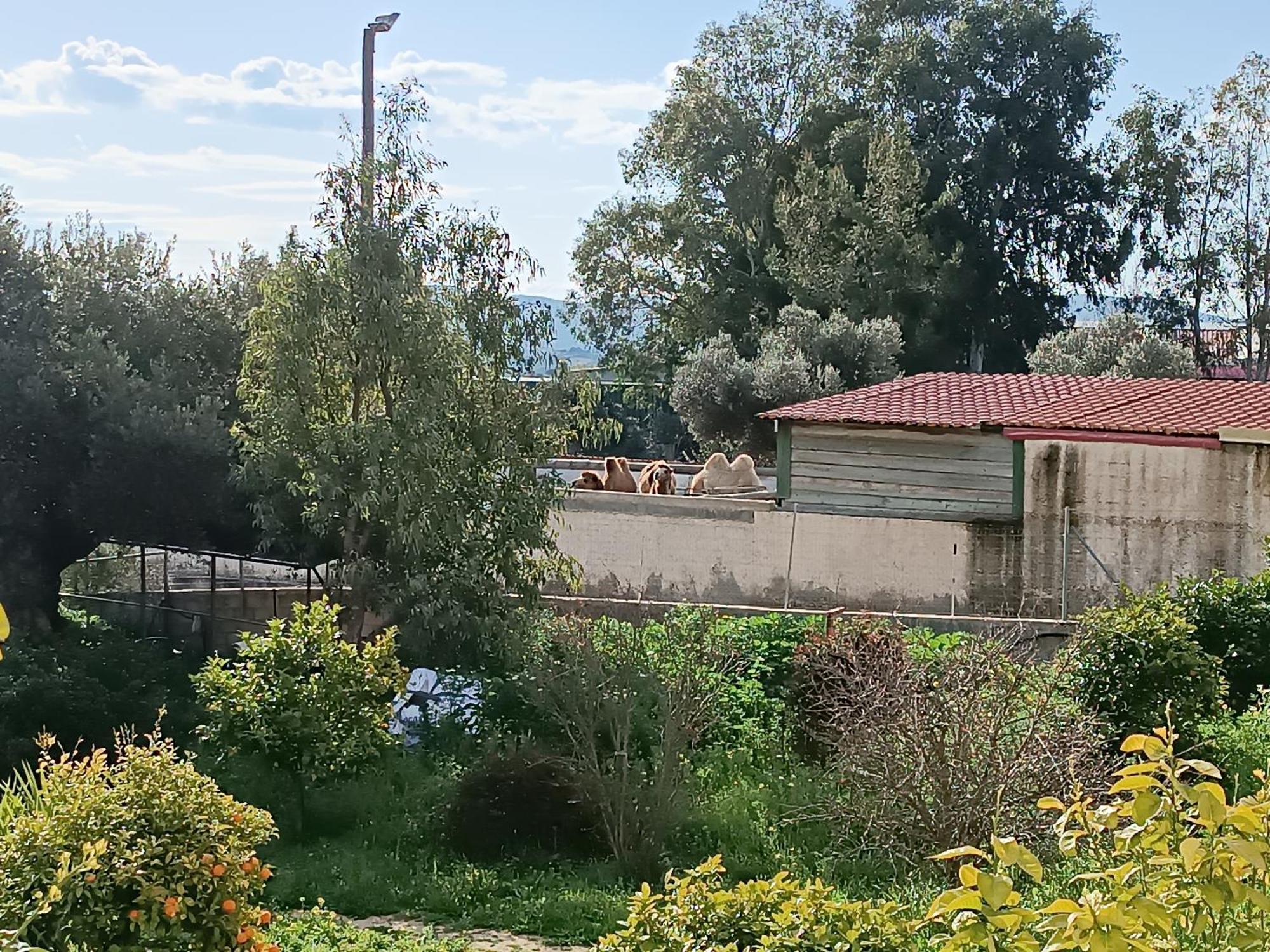 Апартаменти Οδυσσεια, Κοντά Σε Αεροδρόμιο, Λιμάνια Και Θάλασσες Keratea Екстер'єр фото